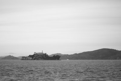 IMG_9016.JPG