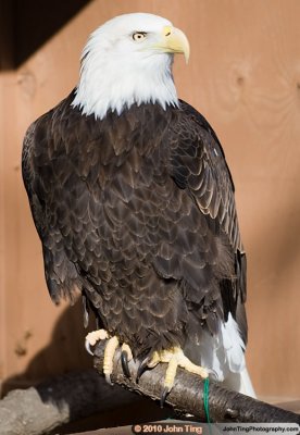 DSC_0011.jpg