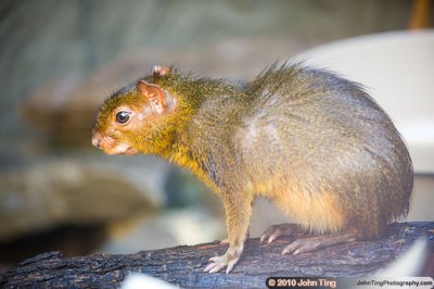 DSC_0034.jpg
