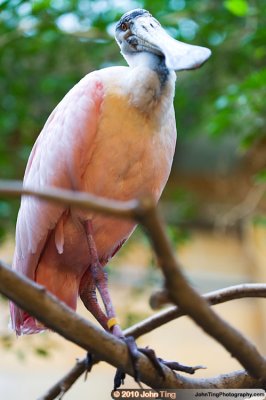DSC_0064.jpg