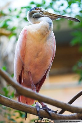DSC_0067.jpg