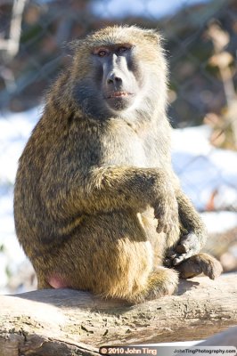 DSC_0122.jpg