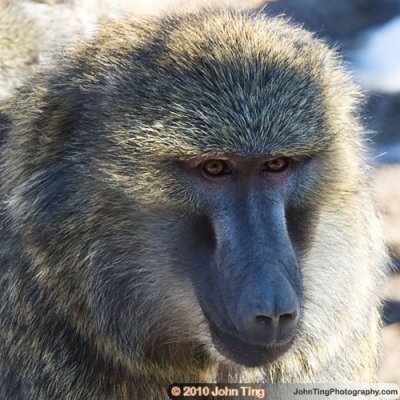 Seneca Park Zoo