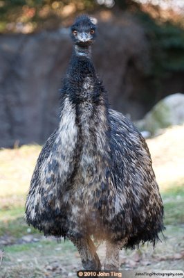 DSC_0149.jpg