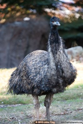Seneca Park Zoo