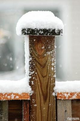 Snow capped post of my back porch