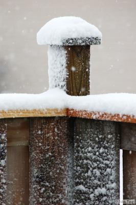 Snow capped post of my back porch
