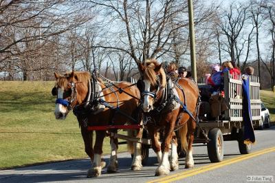 Horse drawn carriage