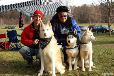 Husky Club members with their dogs