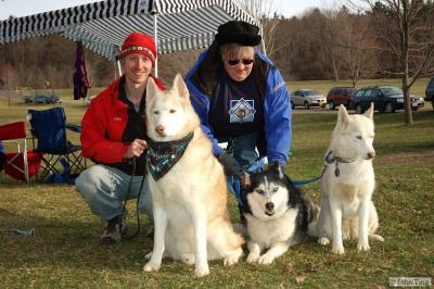 Husky Club members with their dogs