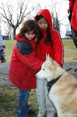 A crowd gathers around the dogs