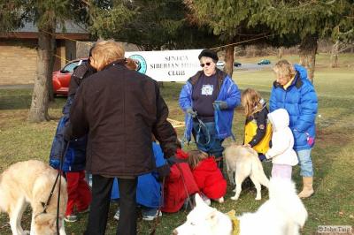 A crowd gathers around the dogs