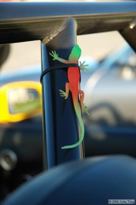 Doug's rollbar lizard.