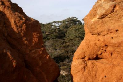g3/99/639899/3/56229788.Cliffslip.jpg