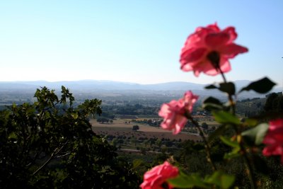Assisi090632.jpg