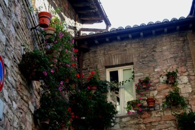Assisi090638.jpg