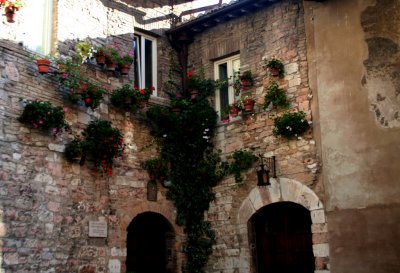 Assisi090639.jpg
