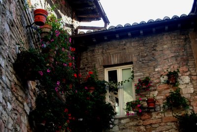 Assisi090640.jpg