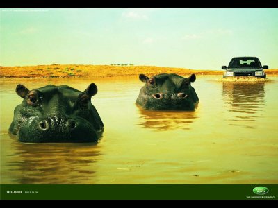 2_45_land rover-hippos.jpg