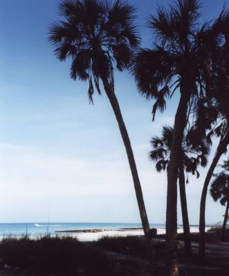 Bradenton Florida