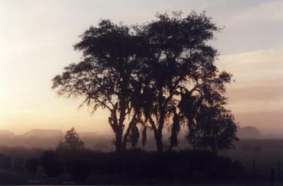 Florida dawn 4.4.97