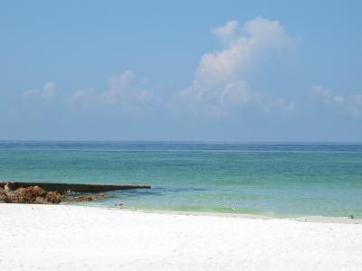 Coquina beach