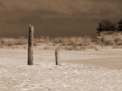 AMI-sepia