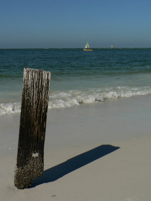 Perfect day