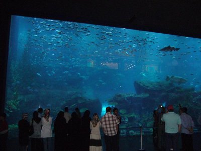 Dubai Mall aquarium 2