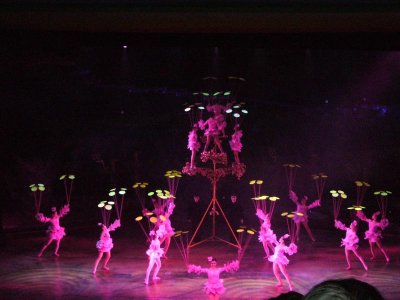 Acrobats 2