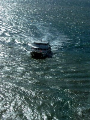 Tender in Port Douglas, Queensland