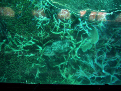 g3/99/69099/3/120485402.8COpQSeV.jpg