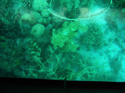 Great Barrier Reef 8
