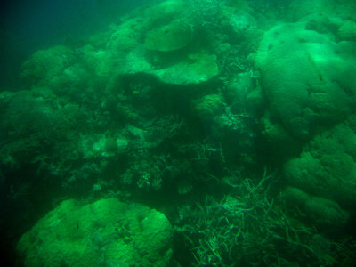 Great Barrier Reef 12