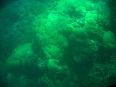 Great Barrier Reef 15