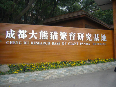 Giant Pandas Base