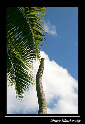 Praslin