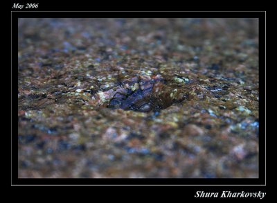 CRW_8474-01