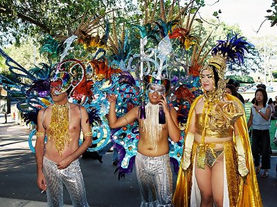 Mardi Gras  MG1030002