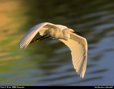 g3/99/7299/3/125116475.ekWYY1CM.jpg