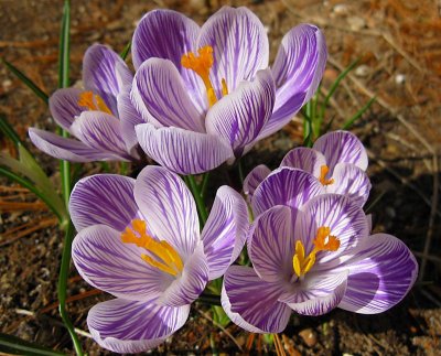 Spring has Sprung.