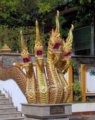 Wat Wichit Sangkaram Naga (DTHP021)