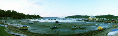 VBL Low tide at Careel Bay.jpg
