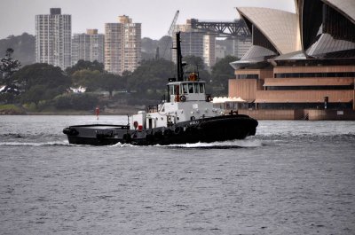 A working boat.jpg