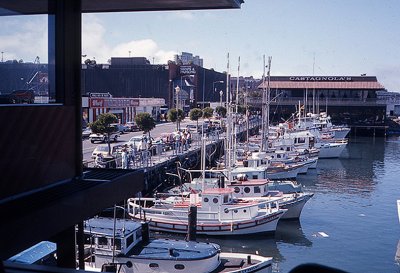 At Fisherman's Wharf.jpg