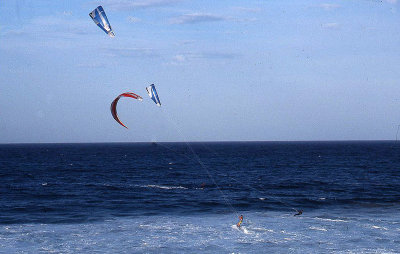 Kite surfers at Palm Beach.jpg