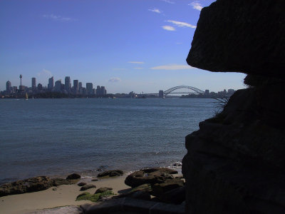 City from Bradley's Head.jpg