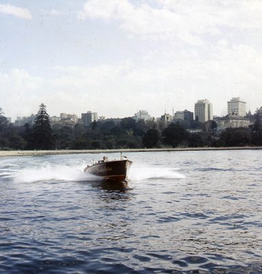 Speedboat on Harbour.jpg