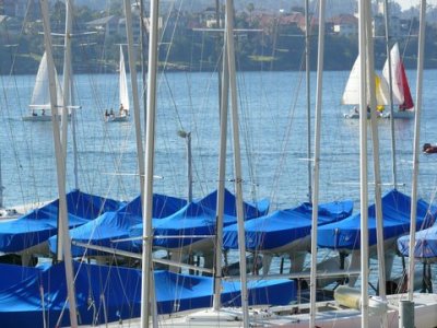 On Sydney Harbour.JPG
