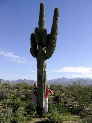 Sheri's cactus.jpg